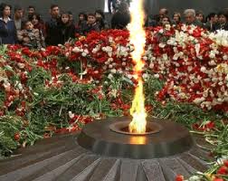 цицернакаб-цветы