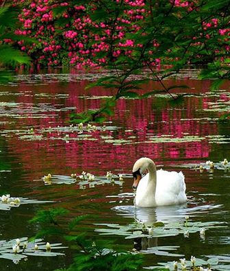 карап А.Киларовски