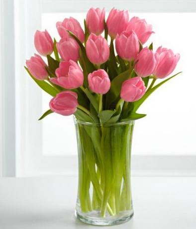 12049714_1150389741651343_1247416349670155300_n